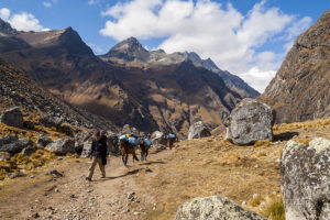 Trekking por Camino Inca