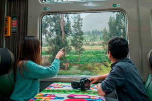 Tour en un día en Machu Picchu, tren Vistadome o Panoramico