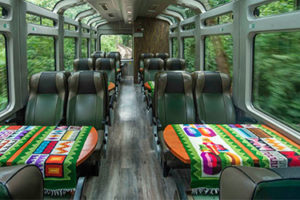 Tour en un día en Machu Picchu, tren Vistadome o Panoramico